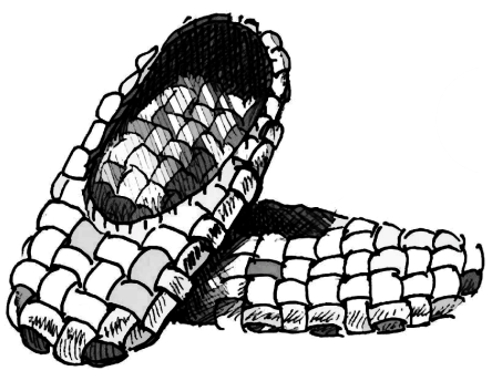 i 1.png